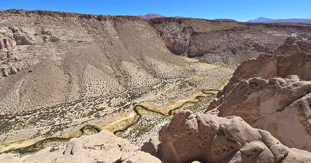 Aerial view of a winding river cutting through the dense Bolivian