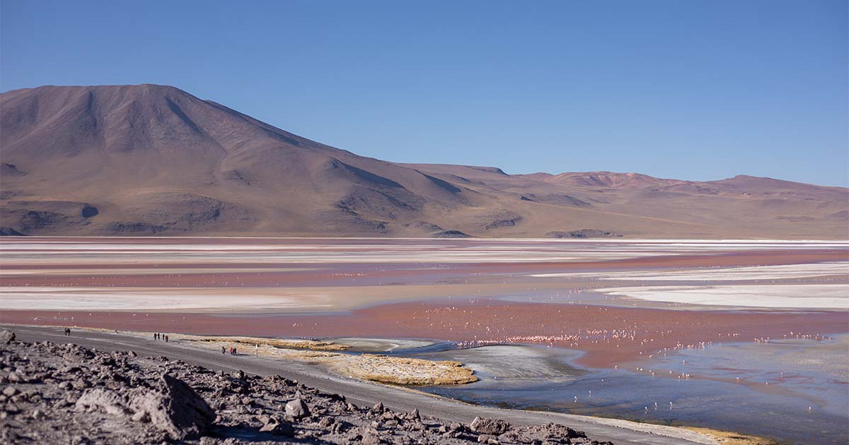 A wide view of Laguna Colorada, showcasing its unique red color and the Andean flamingos.