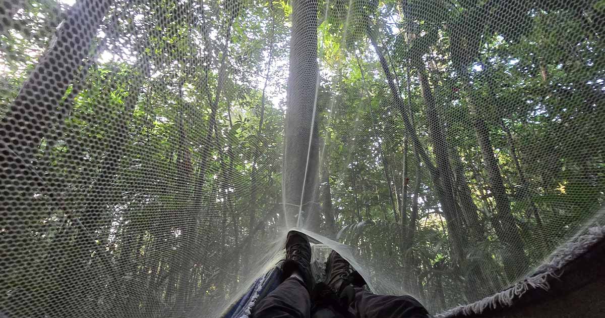 Filipe sleeping in a hammock under the canopy of the Amazon rainforest.