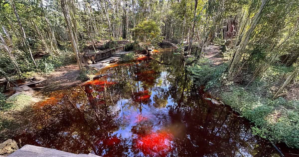 Rio Vermelho, named after its striking red waters caused by natural tannins, offers a unique and serene view.