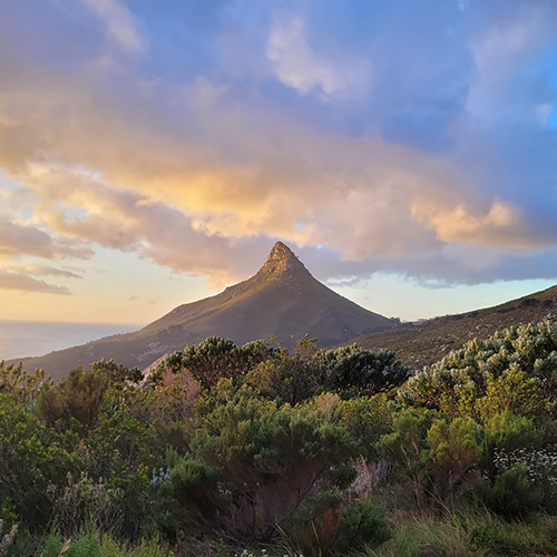 south-africa