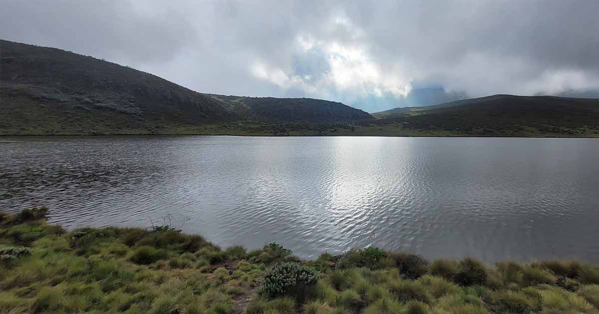 A view of Lake Ellis