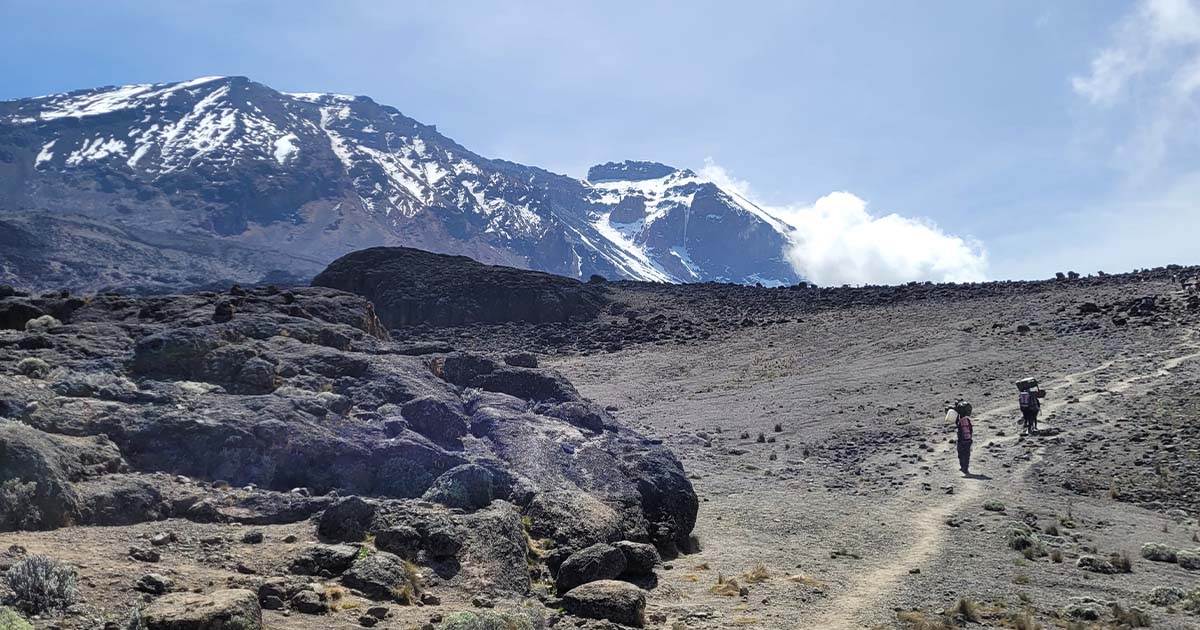 Porters walking on a wide trail across a moorland with the massive form of Kilimanjaro in the distance under a clear sky