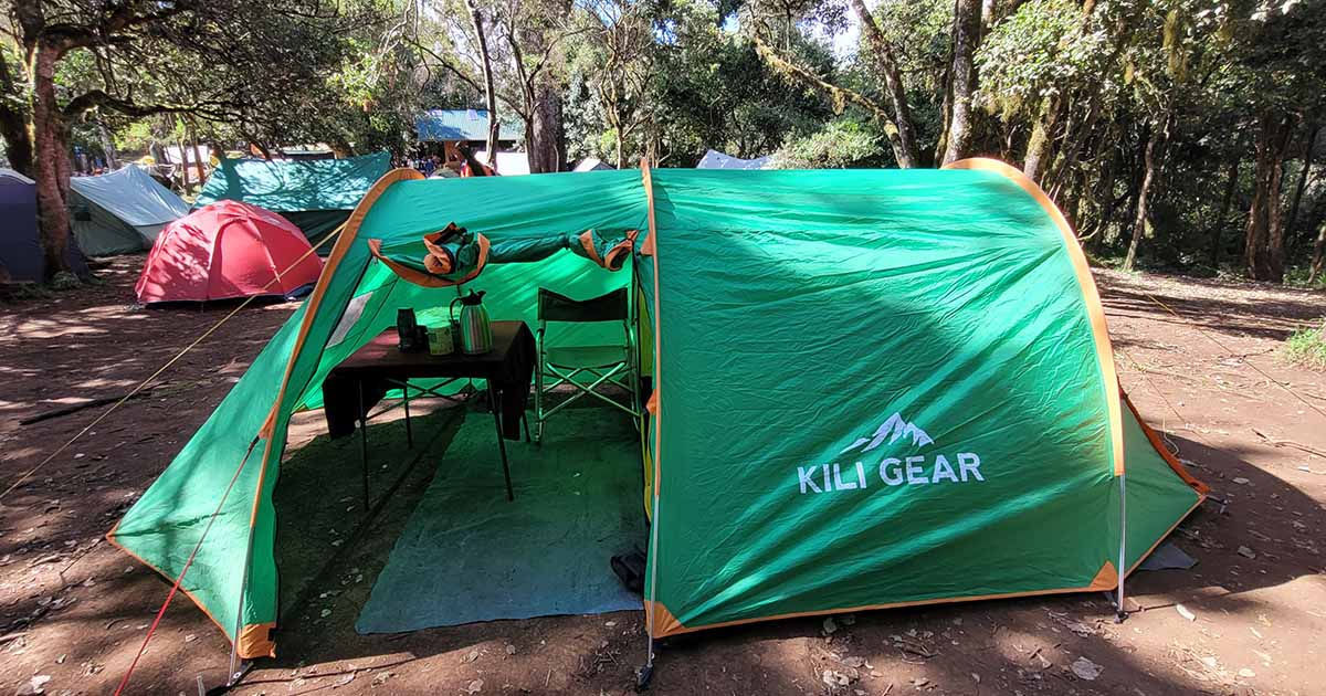 Our tent pitched among trees at a campsite in Kilimanjaro's forest