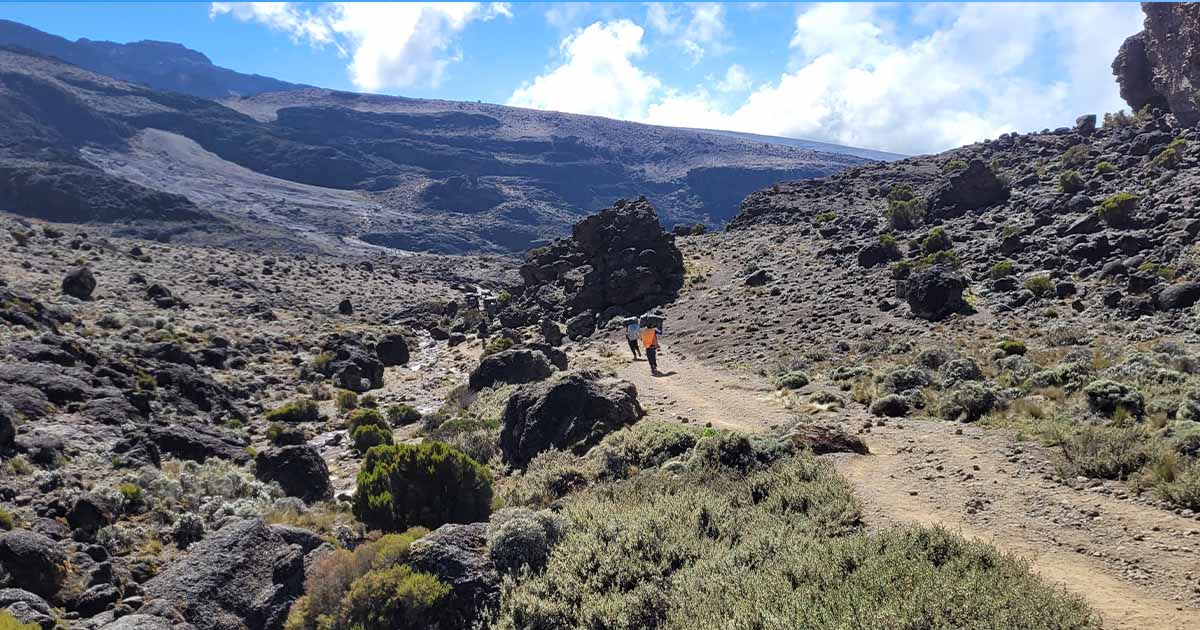 Hikers and porters move along a rocky path leading towards Kilimanjaro, with sparse vegetation on either side