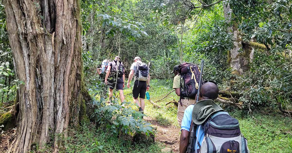  A group of hikers led by an armed ranger on a forest trail at Mount Meru