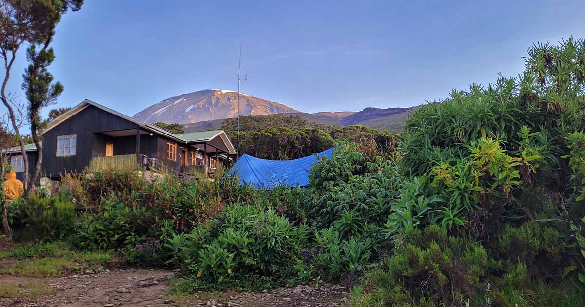 A panoramic view of a mountain lodge surrounded by greenery with Mount Kilimanjaro in the background under early morning light