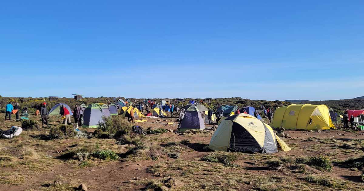 Tents pitched among Shira I