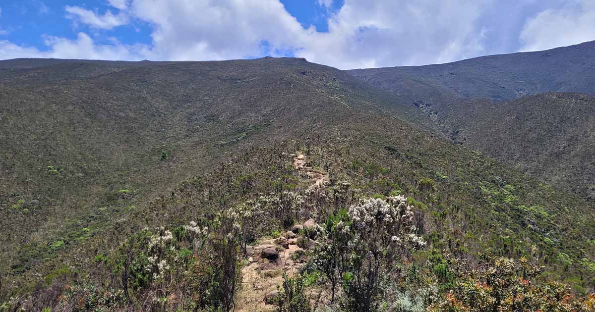 Sparse vegetation and a clear trail under a bright blue sky on the Lemosho route