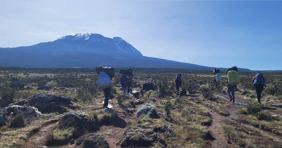 Porters walking on a wide trail across a moorland with the massive form of Kilimanjaro in the distance under a clear sky