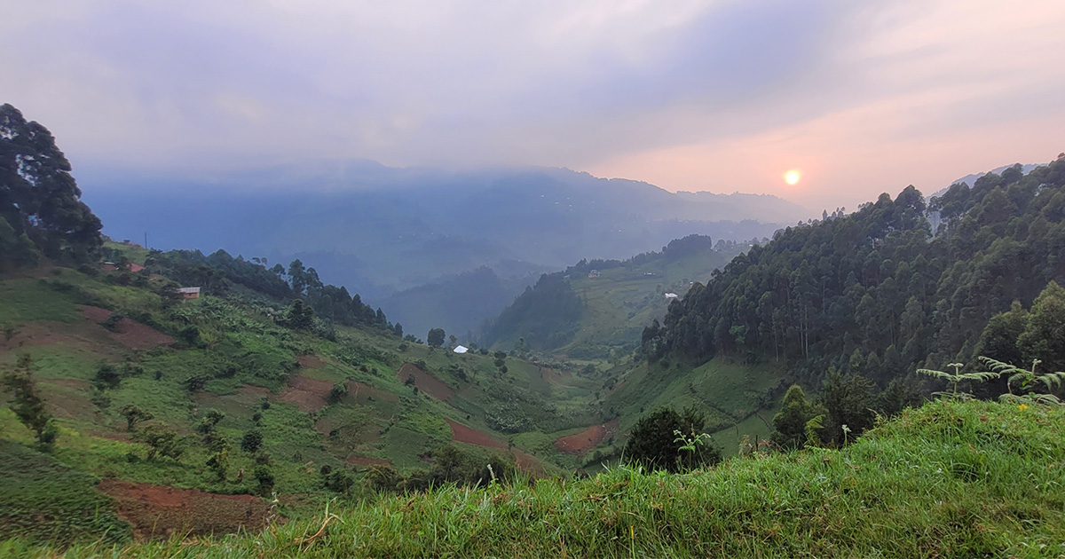 Morning sun behind mountains, with terraced fields on the hillsides, typical of the landscape on the way to Bwindi in Uganda